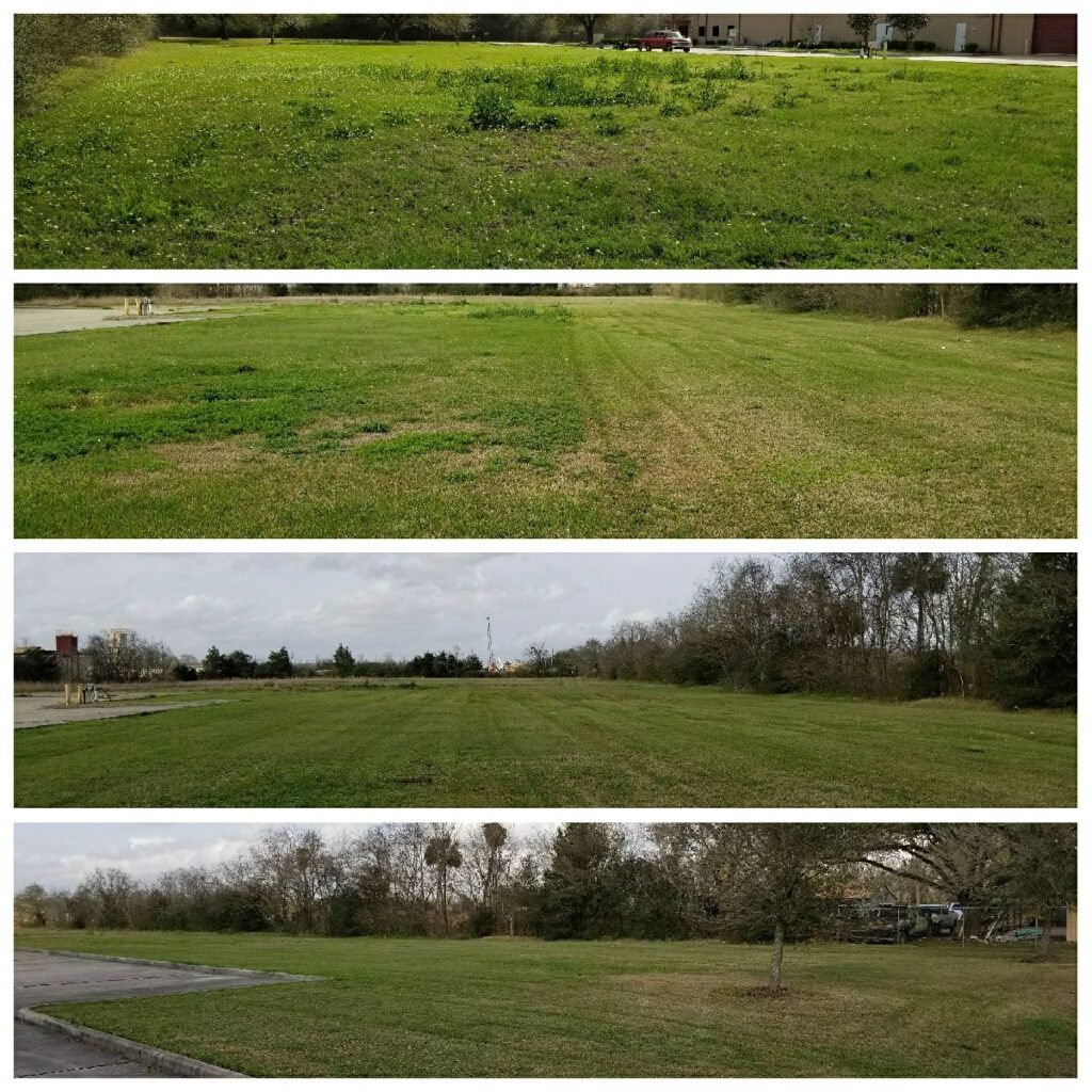 Home IMG 1163 1024x1024